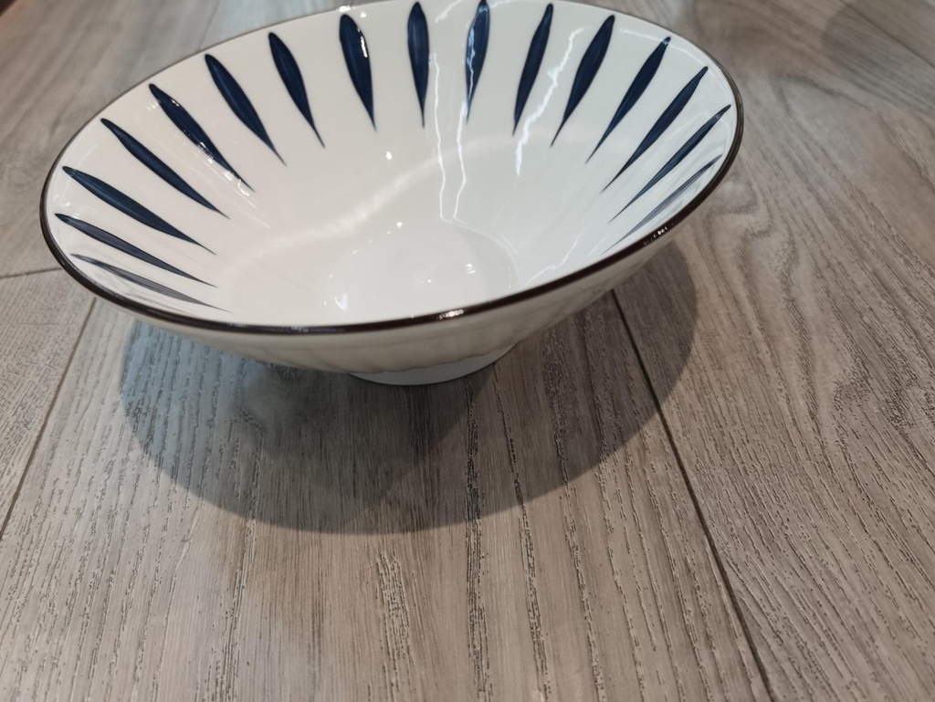 PRINTED 8-INCH BOWL METEOR SHOWER 5/PK 40/CS