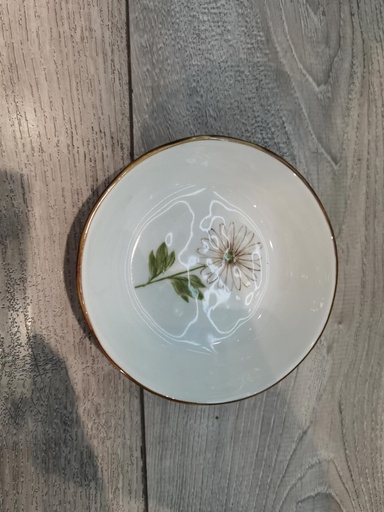 LITTLE DAISY PLATE 20/PK 240/CS