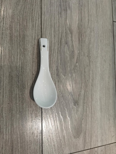 CHASING DREAM SMALL SPOON 600/CS