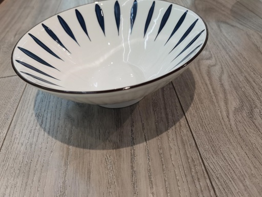 PRINTED 8-INCH BOWL METEOR SHOWER 5/PK 40/CS